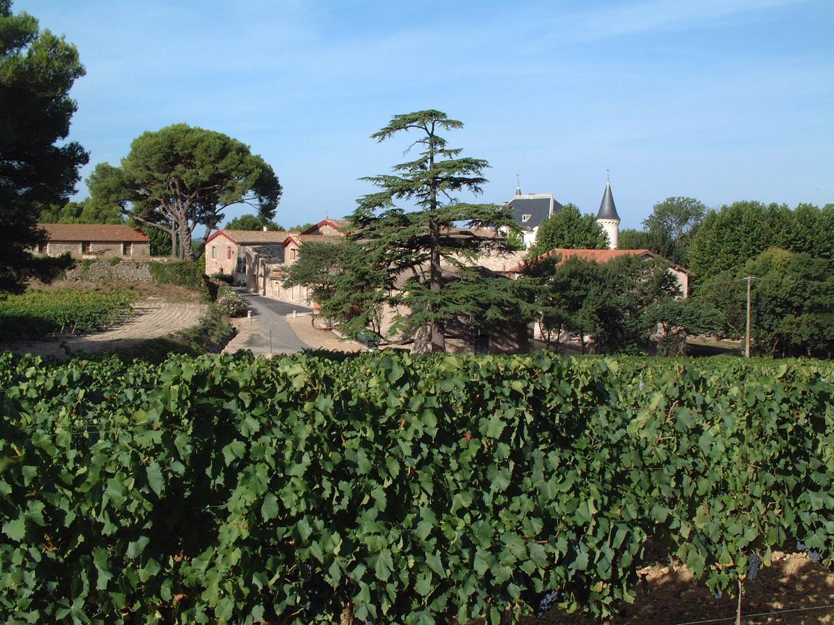 Chateau Saint Martin De Graves Aumes Exterior foto